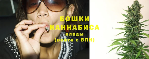 mix Вяземский