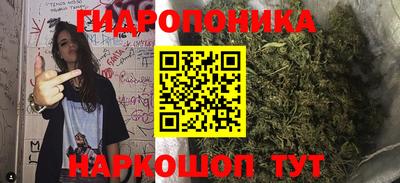 бошки Бийск