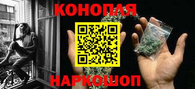 стаф Канаш
