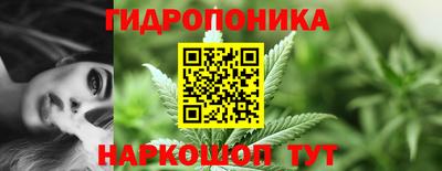 PSILOCYBIN Берёзовский