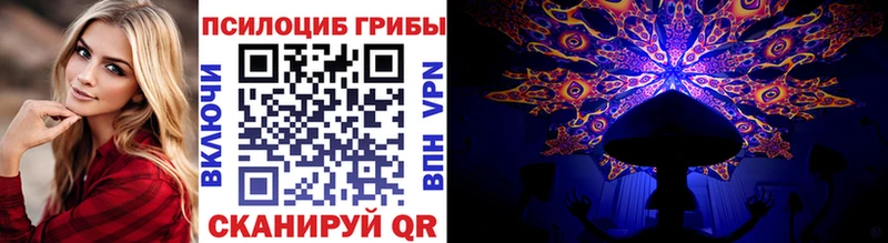 MEGA зеркало  Мценск  Псилоцибиновые грибы прущие грибы 