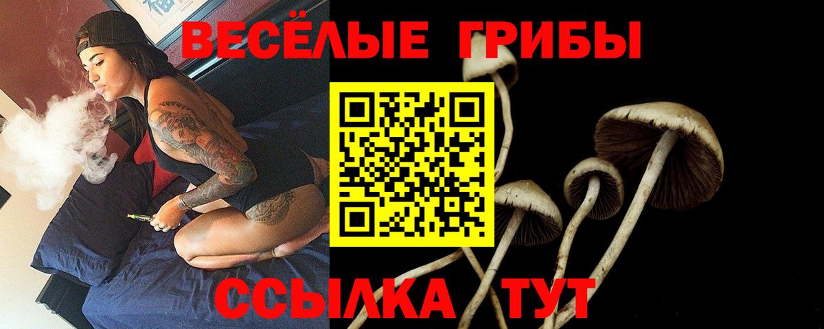 Галлюциногенные грибы Psilocybe Мценск