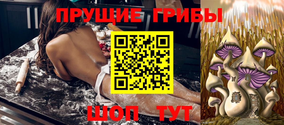 Каннабис  Бошки Шишки  Экстази  Меф МЯУ МЯУ кристаллы  Вейп ТГК  COCAIN  Мценск  Гашиш  Alpha-PVP СОЛЬ кристаллы 
